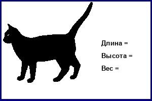 Кламбер-спаниель